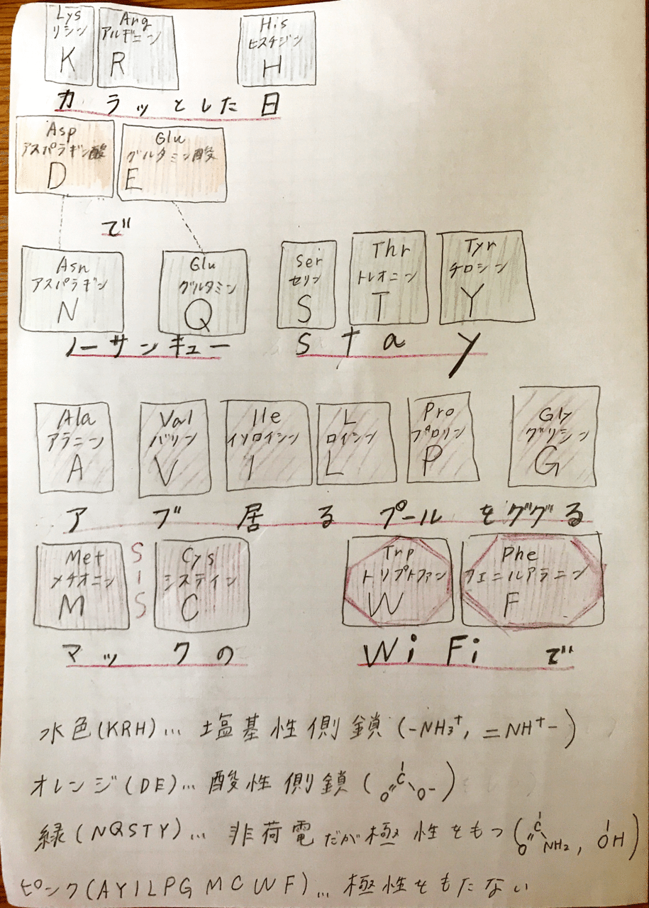 種類のアミノ酸に苦戦するあなたへ ちゃいこ Note