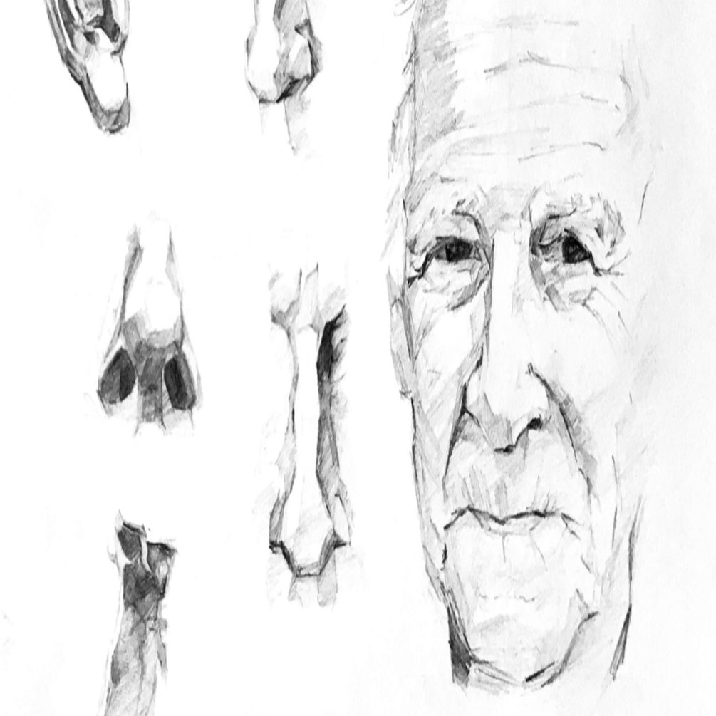 立体表現の練習をはじめました 藤依しの Note