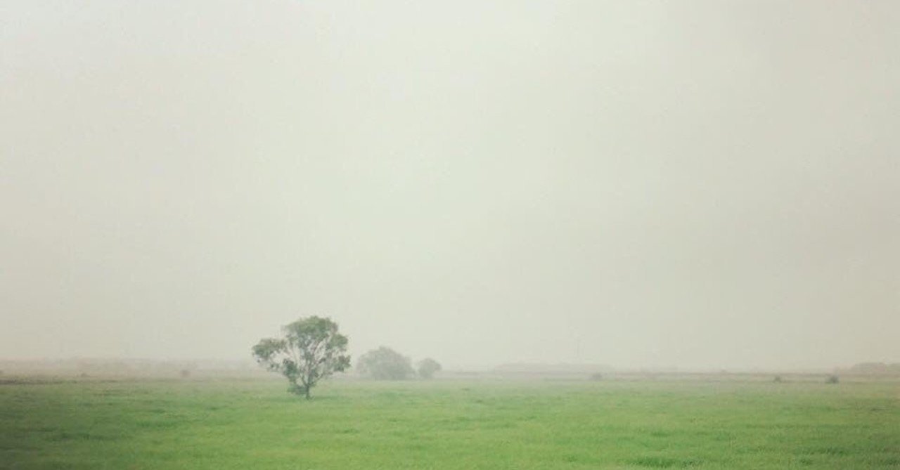 映画 1917 感想箇条書き Fragments Of はんぺん Note 映画 1917 感想箇条書き Fragments Of はんぺん Note