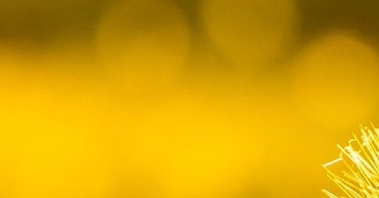 特別支援教育士について しばた ちひろ Note