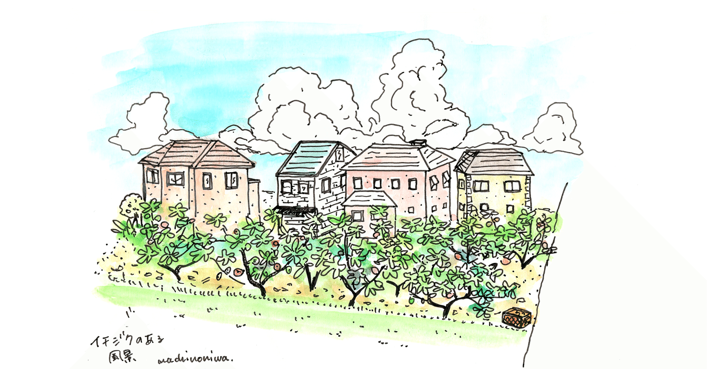 いちじくの記憶 マチノニワ イラストレーター Note