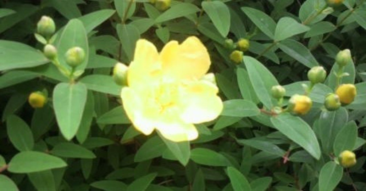 テストで 記号問題を空欄にするのはやめましょう Margrete Note テストで 記号問題を空欄にするのはやめましょう Margrete Note