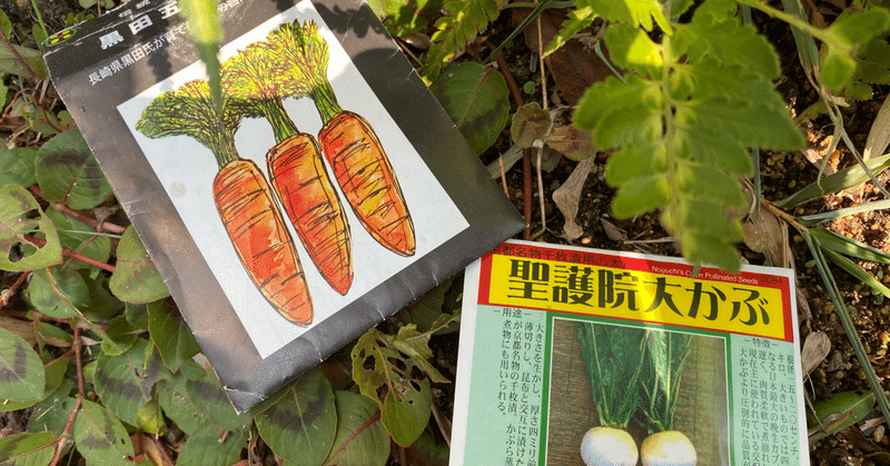 Vol 38 秋野菜の種まき 第一弾 ころの庭自然菜園ーハーブやアロマもー Note
