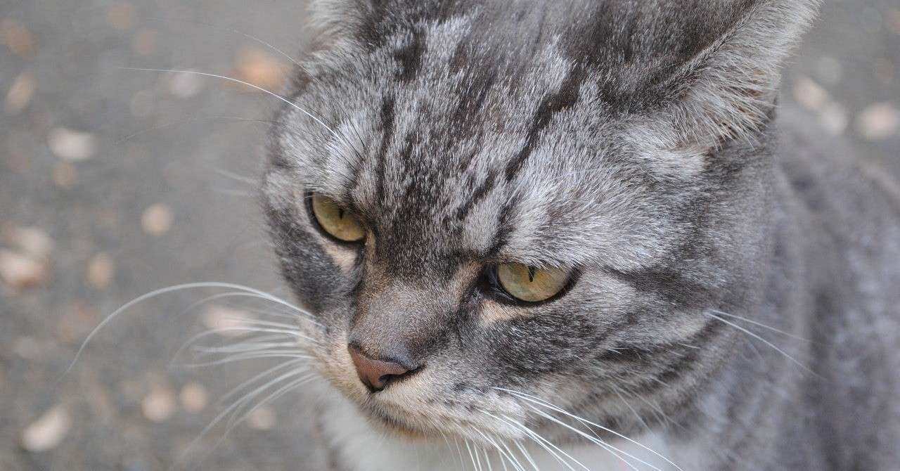 ゲーム企画コンテストのあれこれを見ていて思うこと Keigo Note