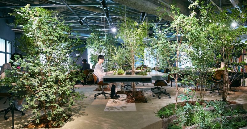 オフィスに植物を取り入れる魅力と効果、維持の方法とは？自社オフィスの“育てるメンテナンス”に密着！