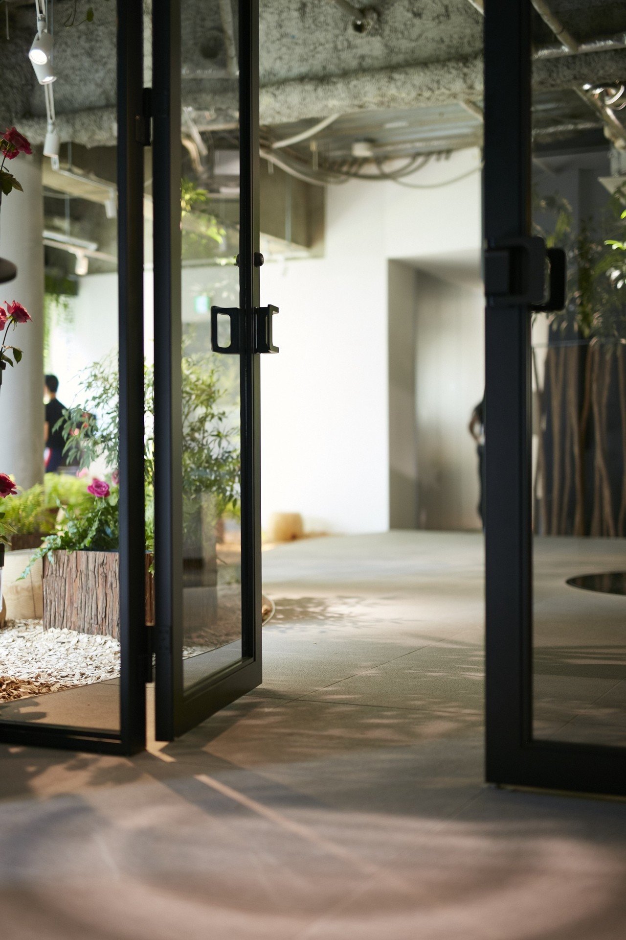 オフィスに植物を取り入れる魅力と効果 維持の方法とは 自社オフィスの 育てるメンテナンス に密着 Parkers Official Note Note