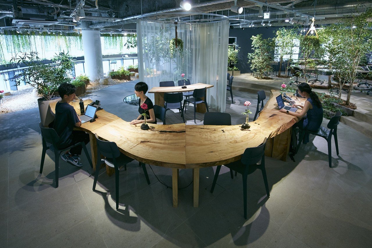 オフィスに植物を取り入れる魅力と効果 維持の方法とは 自社オフィスの 育てるメンテナンス に密着 Parkers Official Note Note