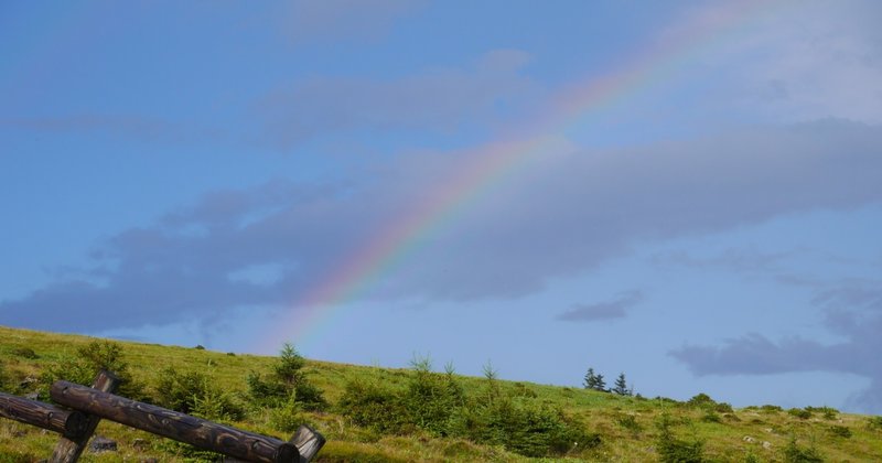 放屁 之二 中国語訳 本当にどうでもいい話をわざわざ中国語で書いてみた 妙帆 Note