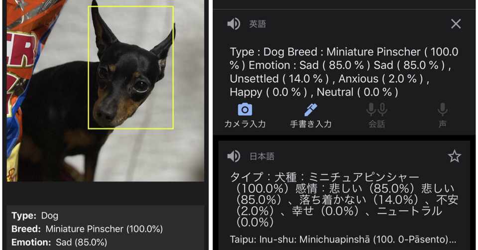 ペットの気持ちがわかるアプリ 試してみた Koukichi T インスタ速報 ストックフォトグラファー Note