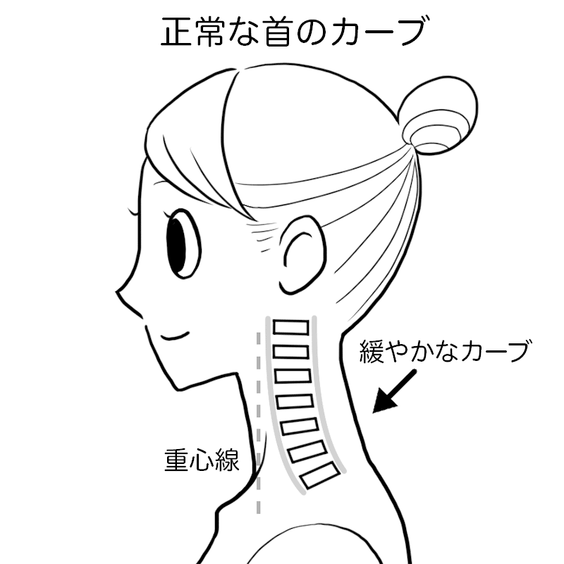 ⑦正常な首のカーブ