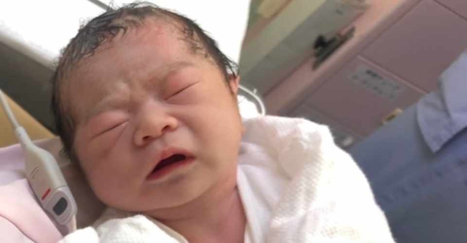 こまゆちゃんの日記 ようこそ人間世界へ こまゆちゃん出産レポート こまゆちゃん Note