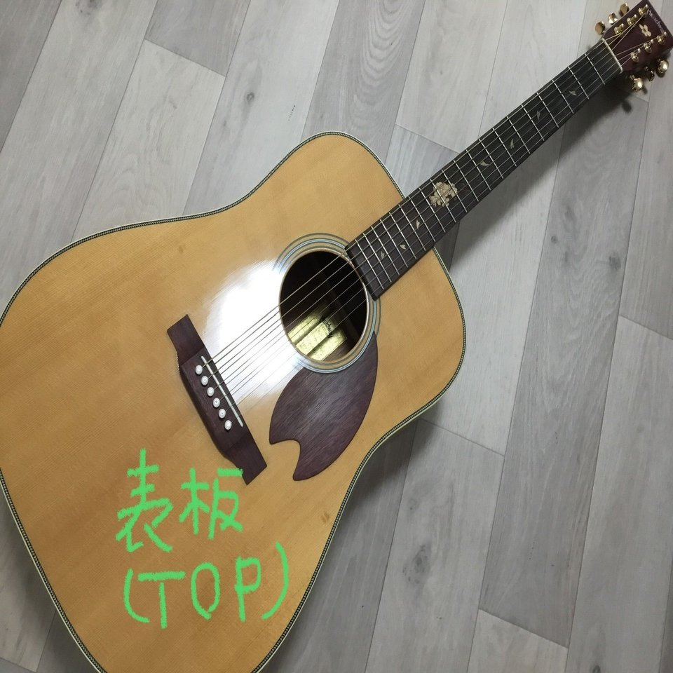 ローズウッドはバラの木ではなかった！アコースティックギターの基礎