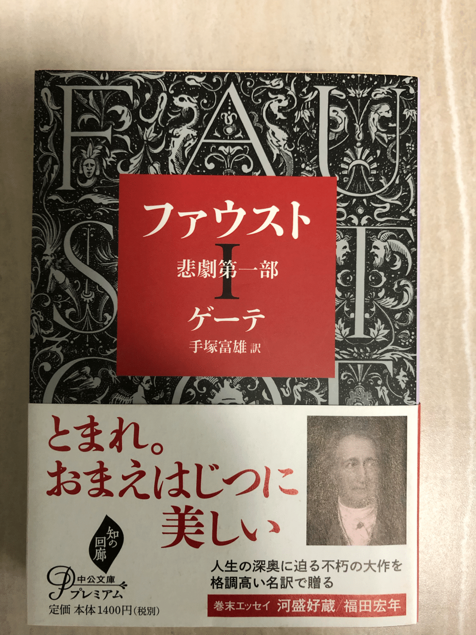 ファウスト ゲーテ 日本語訳