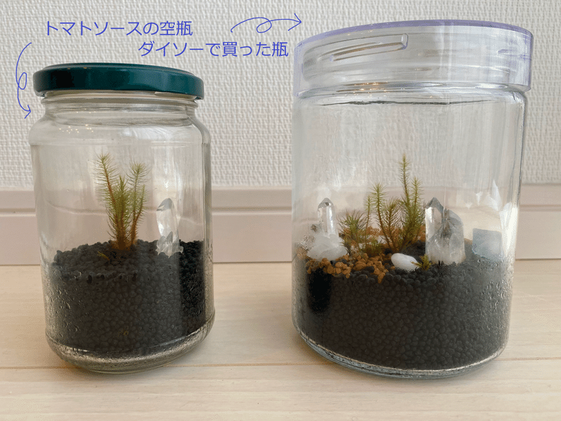 初心者の苔テラリウムの話 好きなところとカビで植え替えたこと すぐの Note