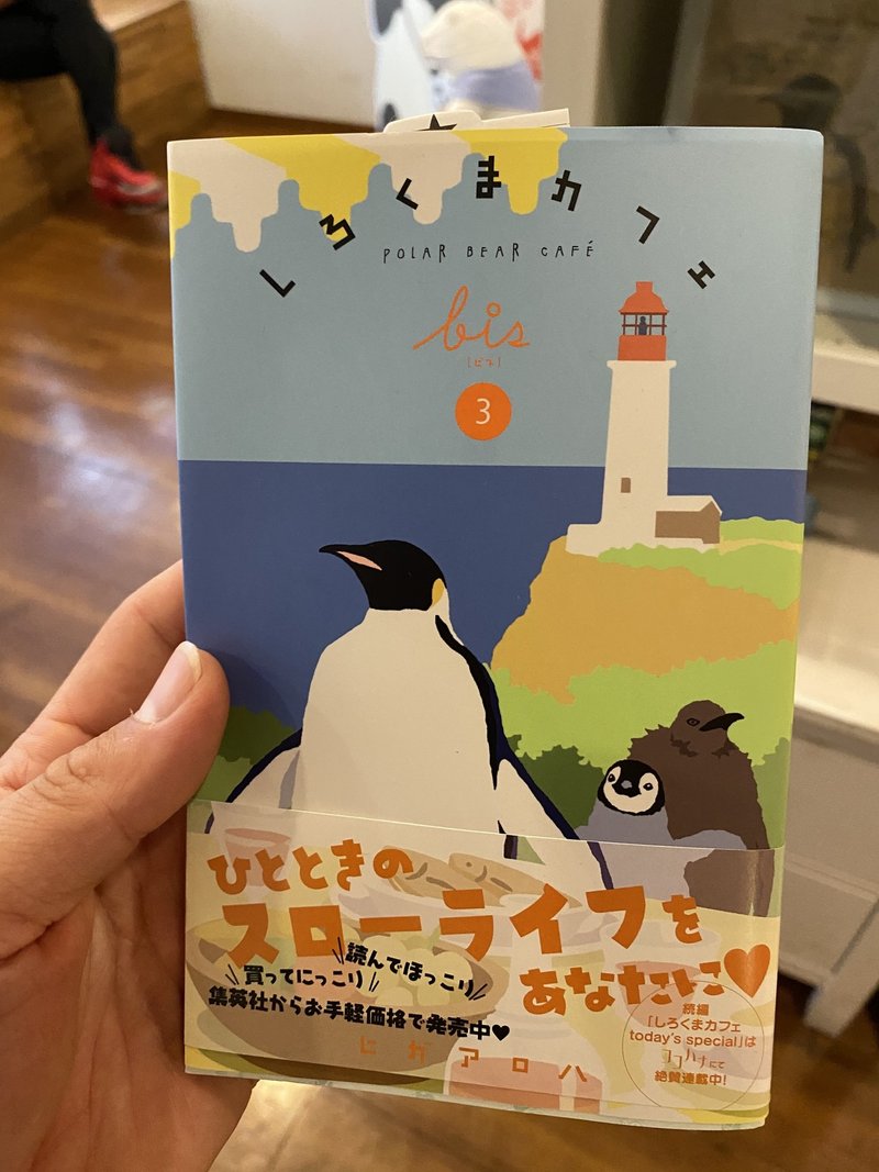 しろくまカフェ行った感想と雰囲気を伝える写真等 Katouyujin 加藤宥仁 Note
