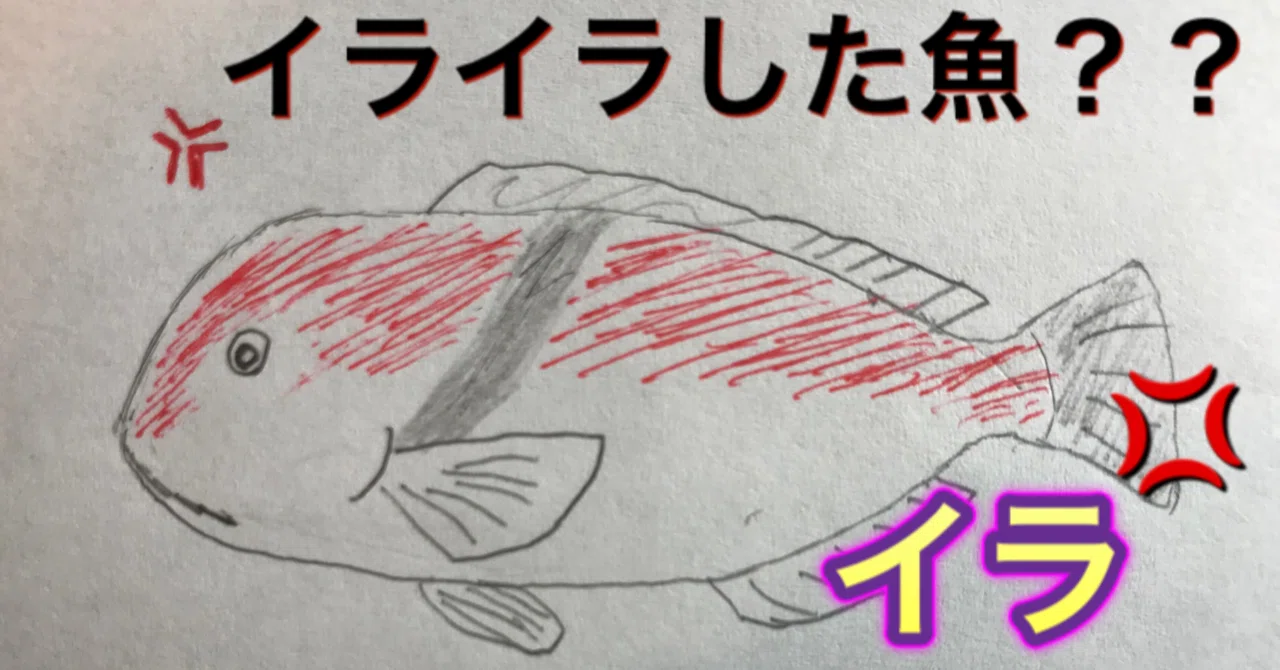 イライライライラした魚 イラ 釣り 山阿呆の大学生 Note