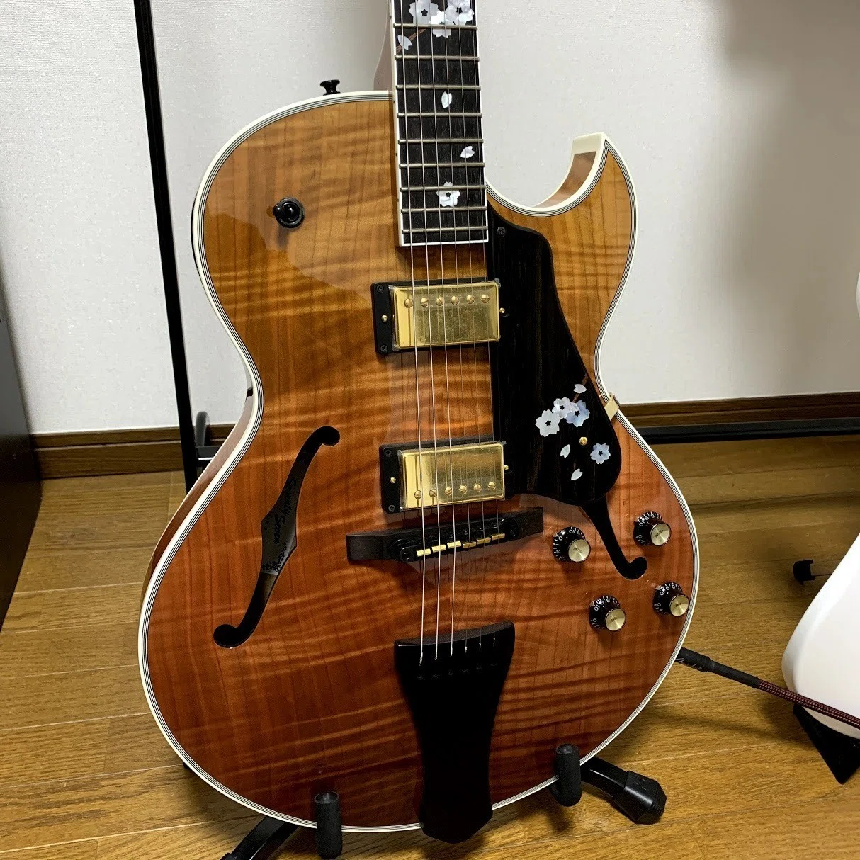 SeventySevenGuitars HAWK SAKURA-SP'19｜Gen Takahashi