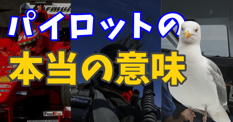 パイロットは 水先案内人 の意味 ドライバーとの違いとか トリム Note