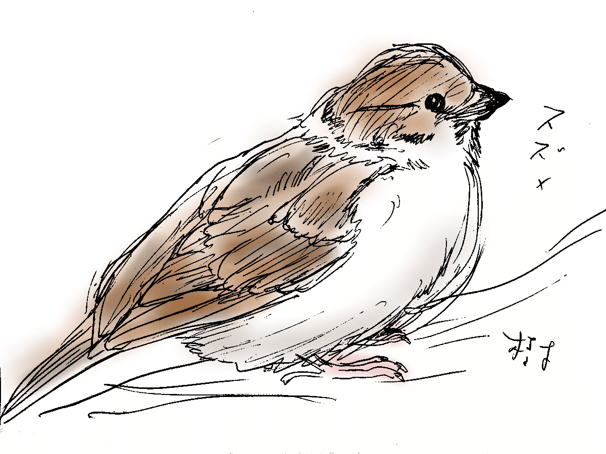 スケッチ 雀 Gallerytaimu 0728 Note