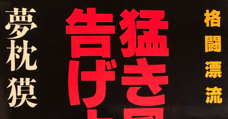 猛き風に告げよー私説UWF伝★3【10冊読むまで帰れま10・7月⑤】プロレスと心中します！