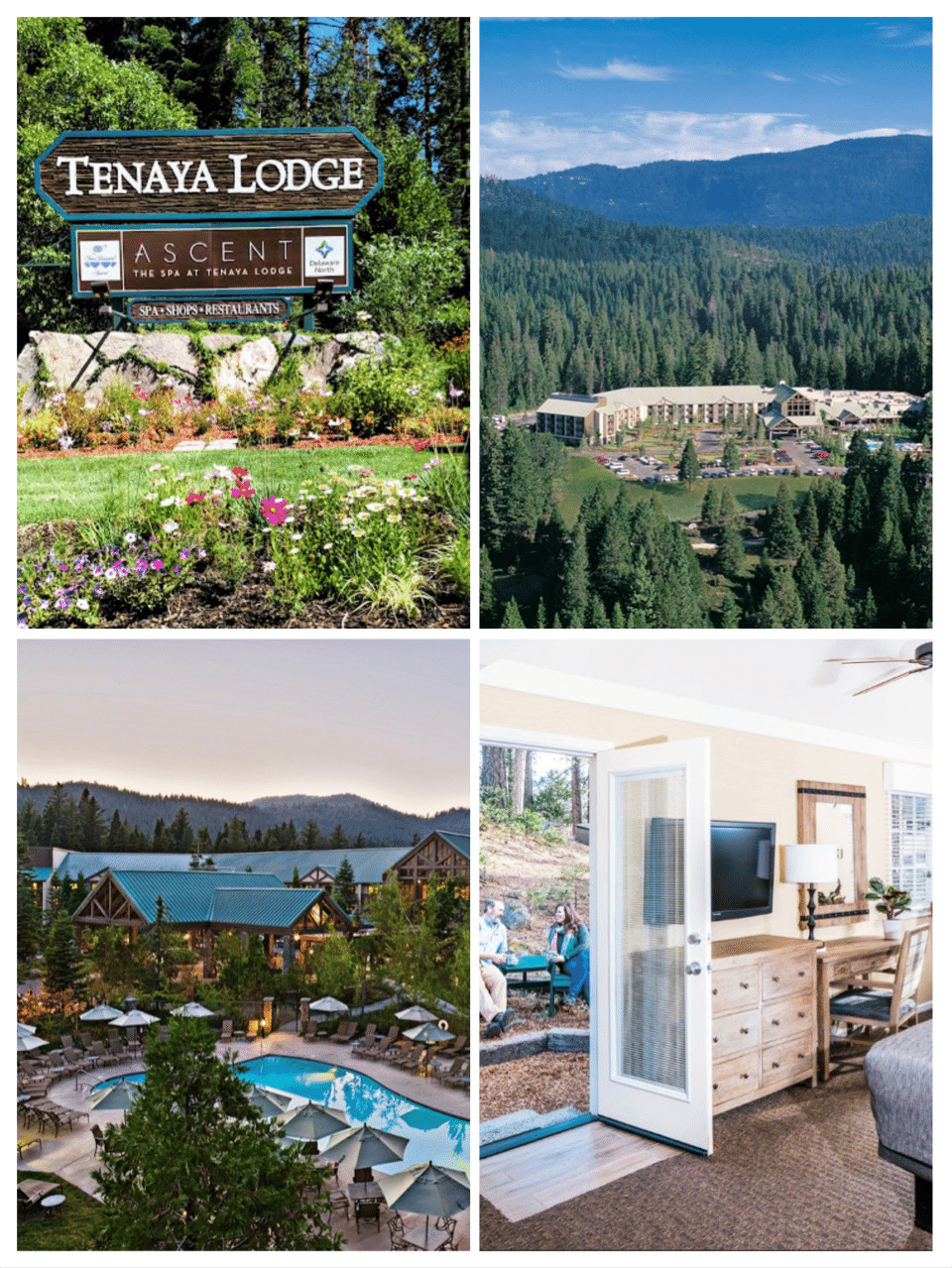 ヨセミテ国立公園の山火事と動物たち ノリノリ Note