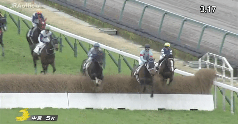 中京競馬場障害コース紹介 ゆうぴぃ 競馬 Note