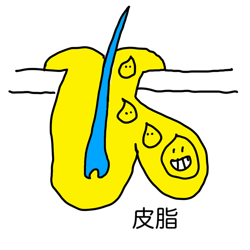 画像18