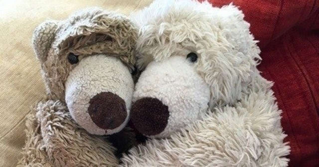 ぬいぐるみ病院に入院 酒井朋子 Note