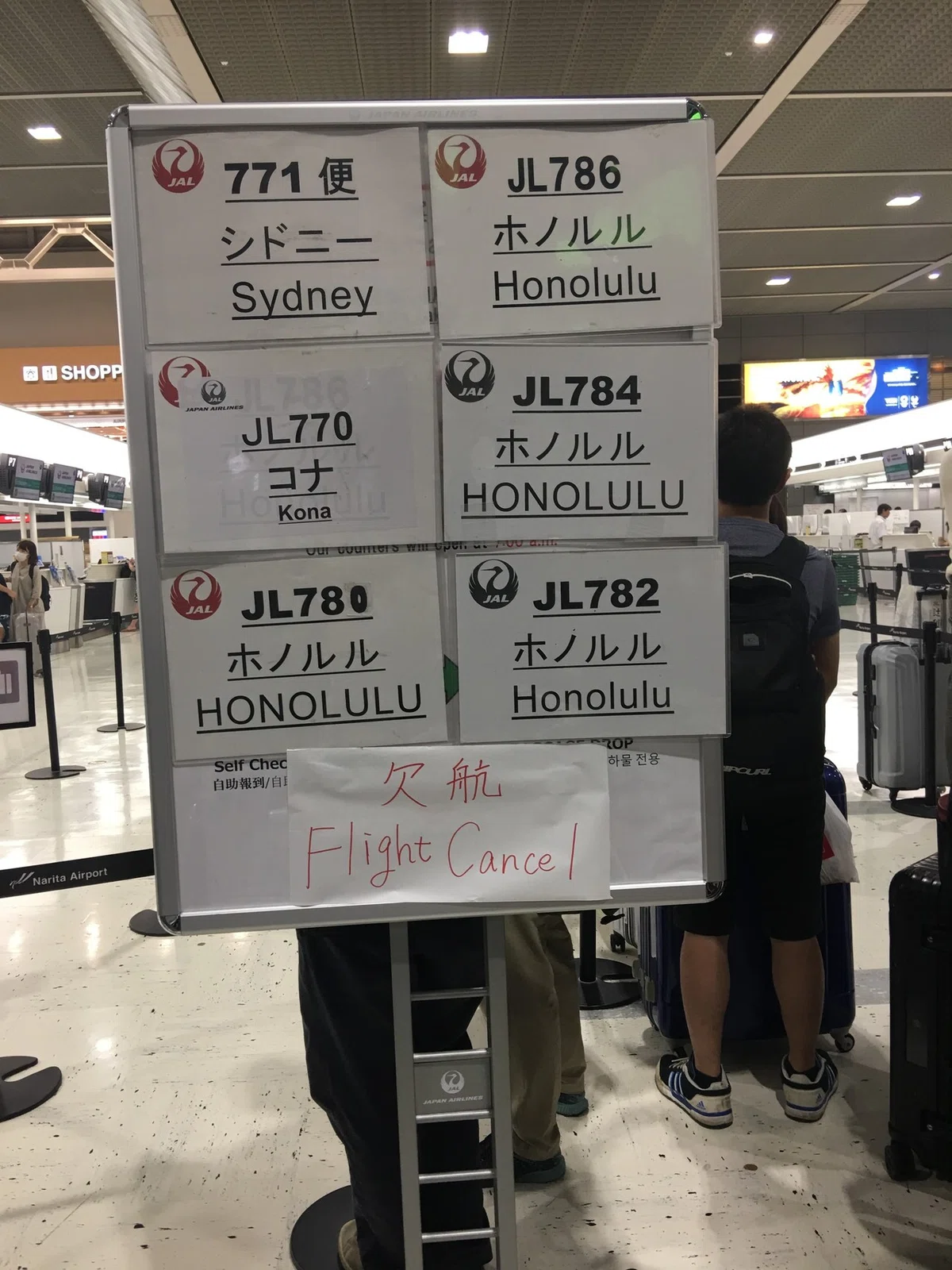 画像11