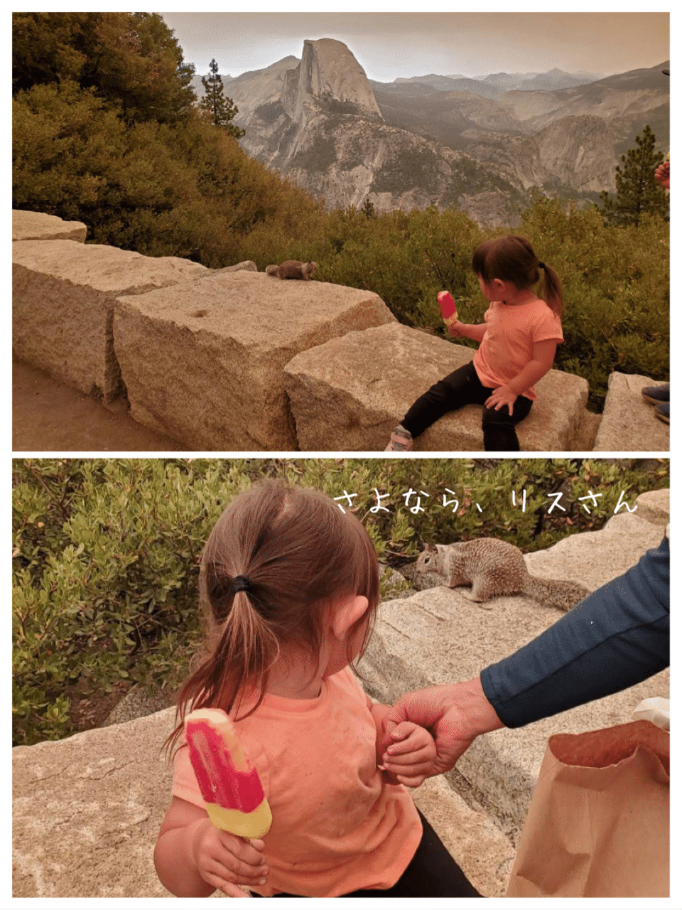 ヨセミテ国立公園の山火事と動物たち ノリノリ Note