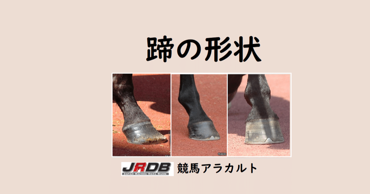 蹄の形状｜JRDB 競馬アラカルト