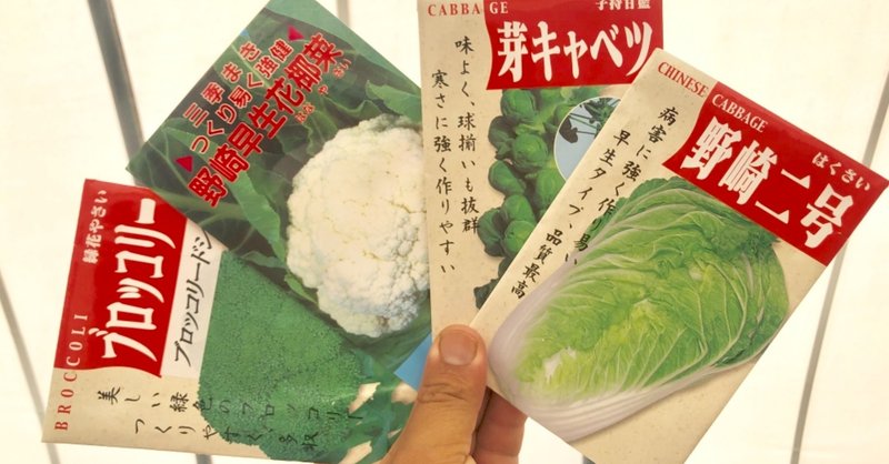 2020年、秋の野菜苗、種まきはじまりました！