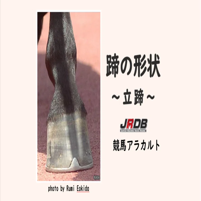 蹄の形状 ～立蹄～｜JRDB 競馬アラカルト