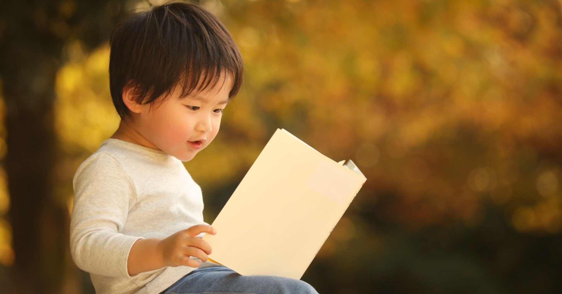 読書の秋 読書をすることは 人生を豊かにする効果がある えぬけい Nkei Note