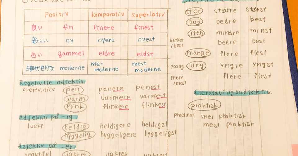 オスロ大学でノルウェー語を始めて半年頃の勉強ノート 外国語の楽しい勉強法 北欧言語 How To Learn Nordic Languages Asaki Abumi Note