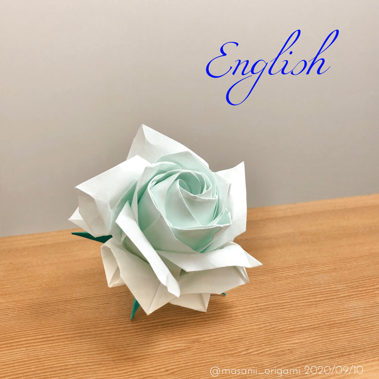 White Sato Rose 贈り物に 白い佐藤ローズ まさにぃ Note