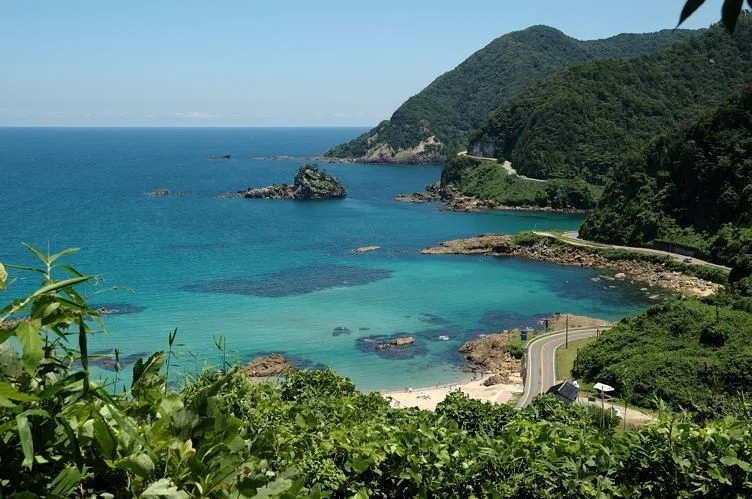 画像11