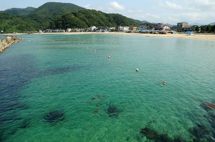 画像12