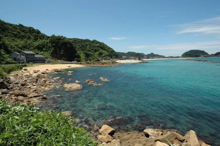 画像14
