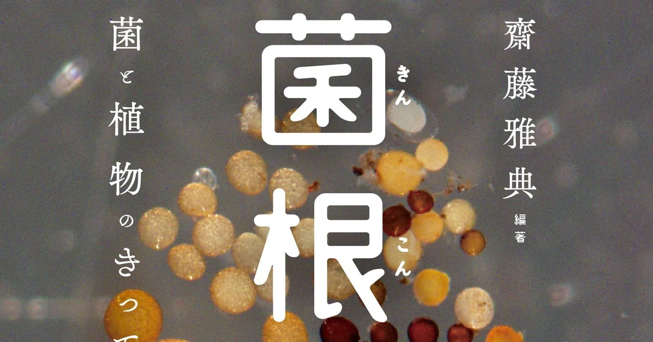 菌根の世界―おわりに──菌根共生の進化を考える（小川真）｜築地書館