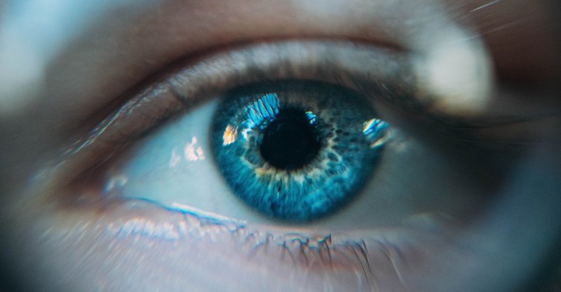 人を見る目について 観相学とのリンクが面白い 波動つかいスギヤマ Note 人を見る目について 観相学とのリンクが面白い 波動つかいスギヤマ Note