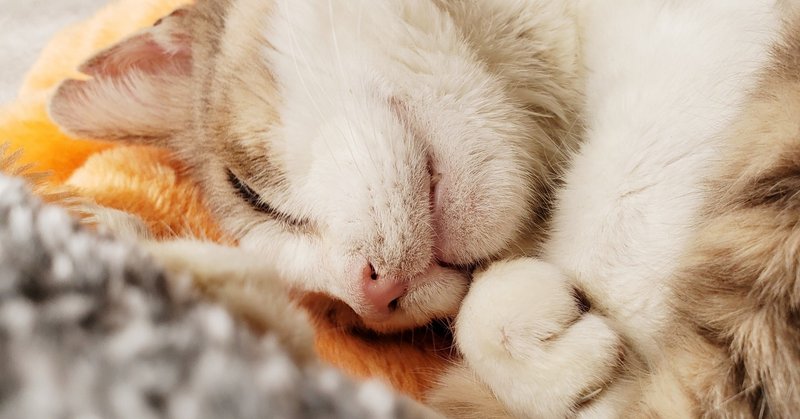 わざと傷つく言葉を言ってくる相手への対処法 shaun 山本武史 note