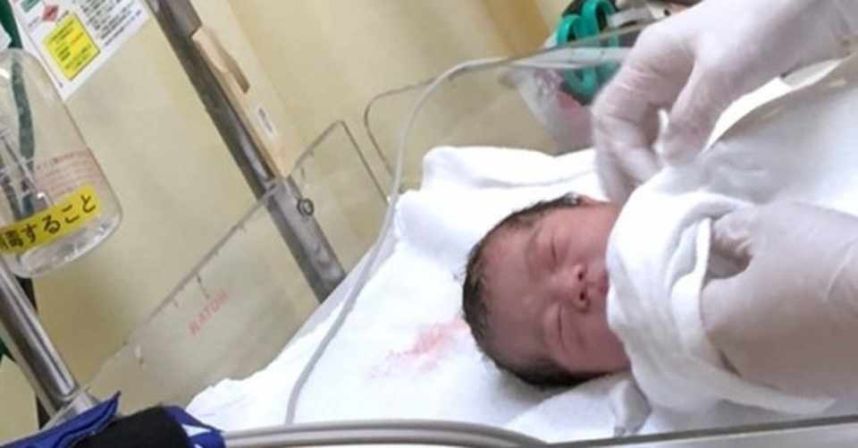 こまゆちゃんの日記 ようこそ人間世界へ こまゆちゃん出産レポート こまゆちゃん Note