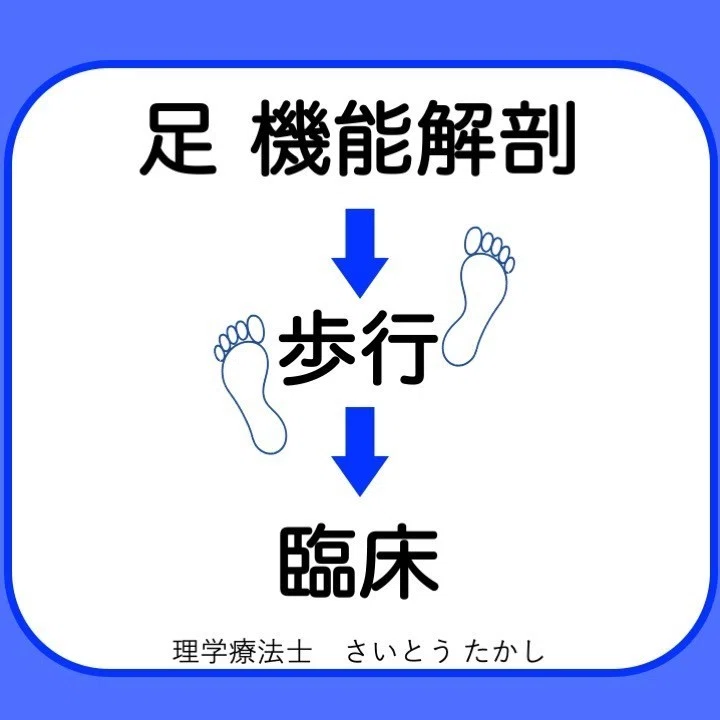 足部の機能解剖1 〜距骨下関節の臨床応用〜｜Takashi＊Saito