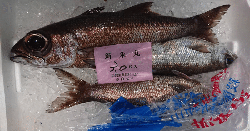 新潟 佐渡沖クロムツとアカムツ ノドグロ の違い 魚が来る 明日 新潟から 鮮魚通販 Note