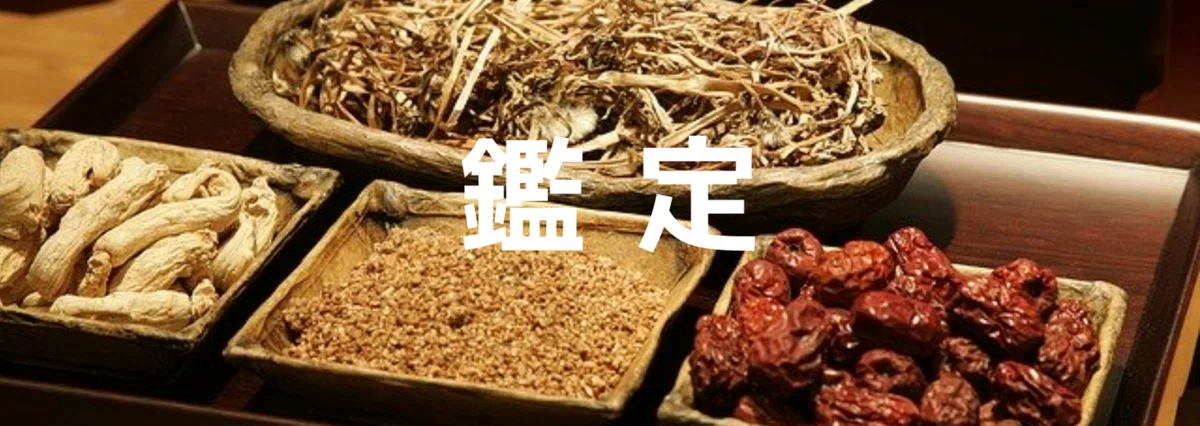 noteマガジン表紙 (4)