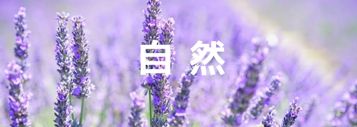 noteマガジン表紙 (8)