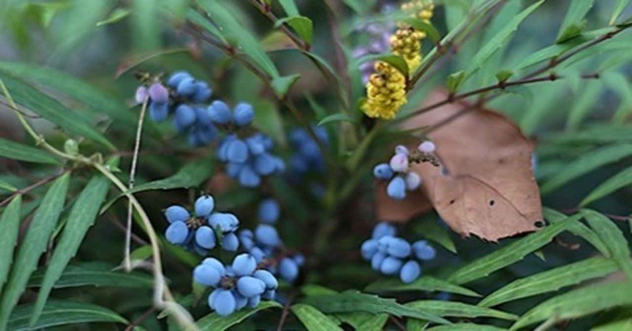 優しい暖かさ Taku Note 優しい暖かさ Taku Note