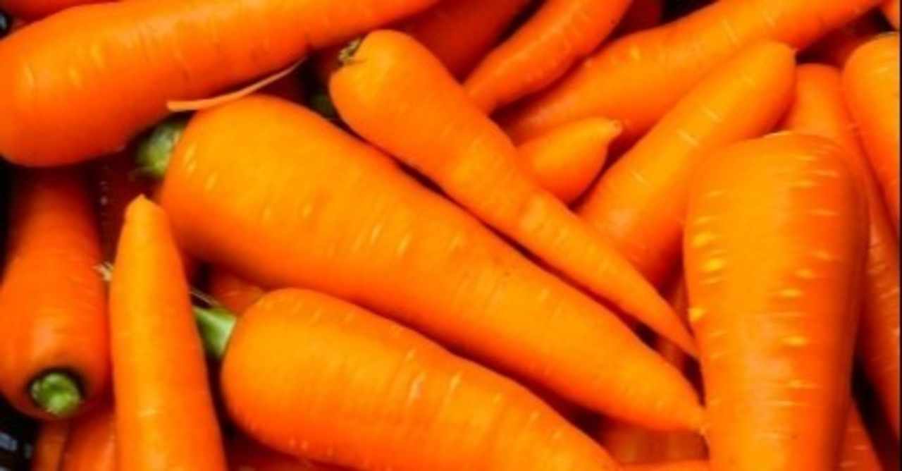 野菜の生育と相場予測 の新着タグ記事一覧 Note つくる つながる とどける