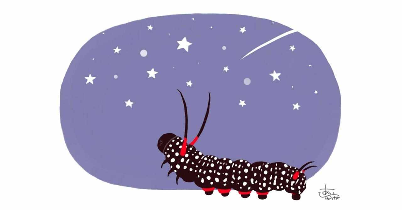 近況 虫たちから教わること 日向あい Note